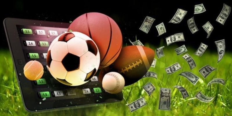 Sản phẩm bóng rổ cá cược thể thao Vsbet